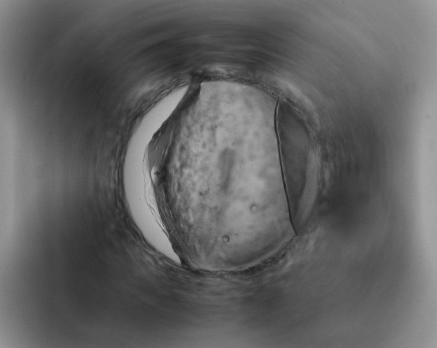 X0000086940917200705141759