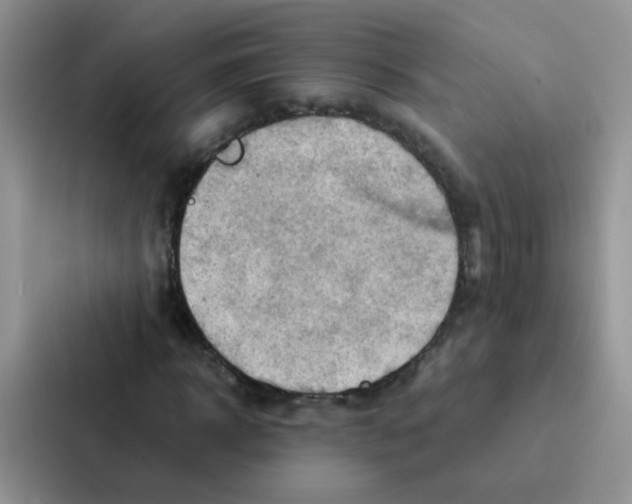 X0000086940918200705141759