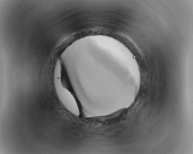 X0000086940919200705141759