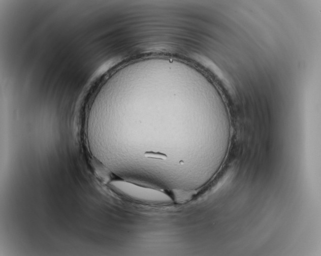 X0000086940922200705141759