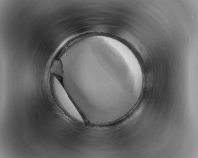 X0000086940923200705141759