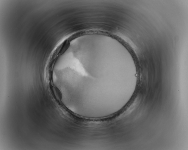 X0000086940925200705141759