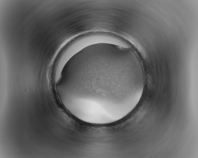 X0000086940926200705141759