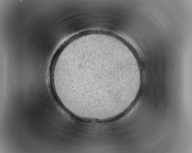 X0000086940927200705141759