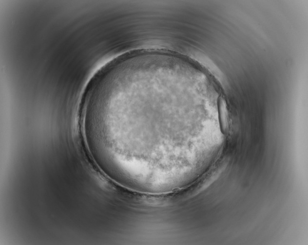 X0000086940928200705141759