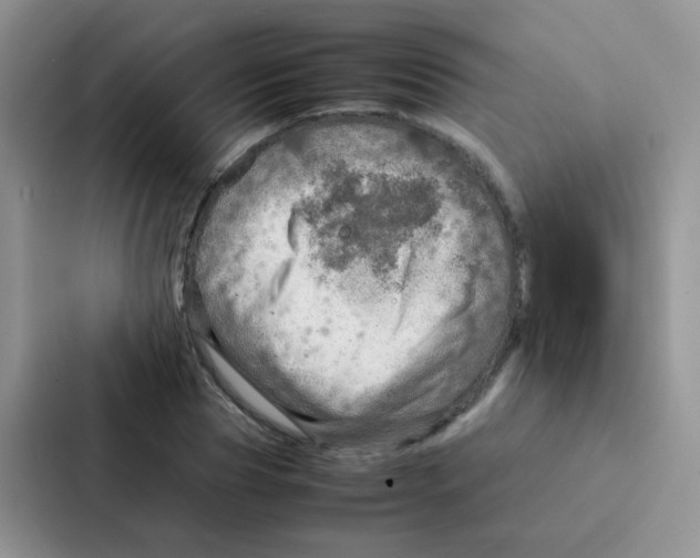 X0000086940929200705141759