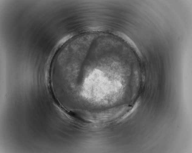 X0000086940930200705141759