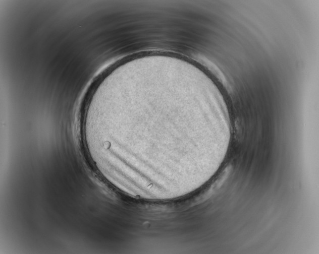 X0000086940931200705141759