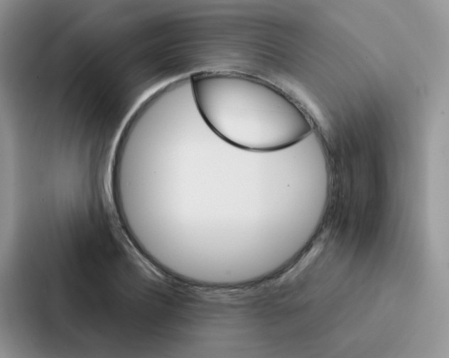 X0000086940932200705141759