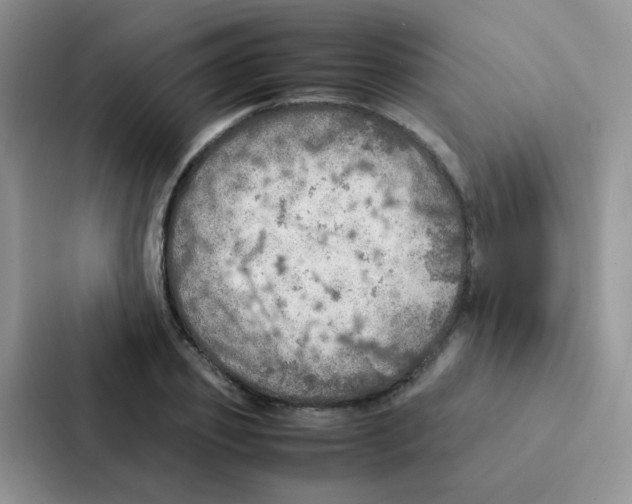 X0000086940933200705141759