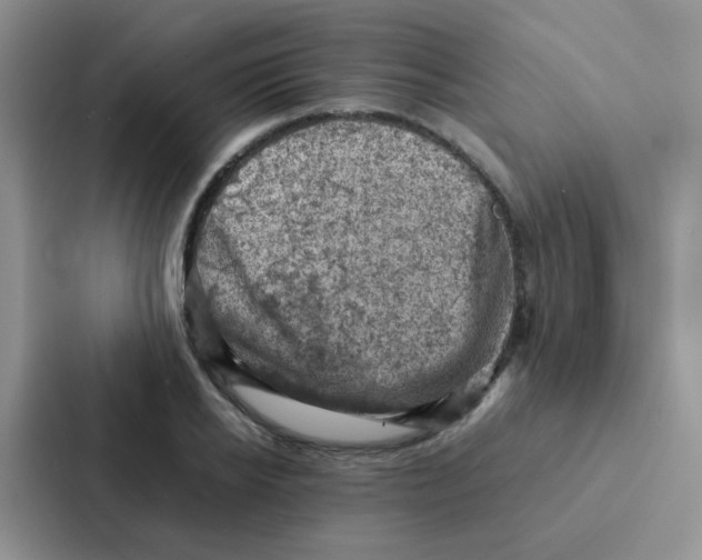 X0000086940934200705141759