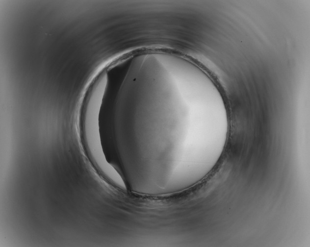 X0000086940935200705141759