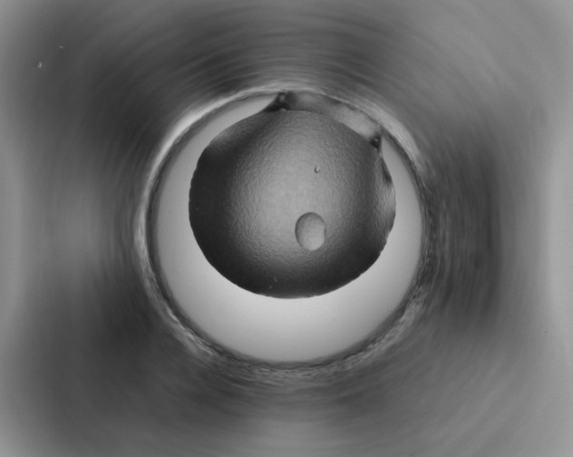 X0000086940936200705141759