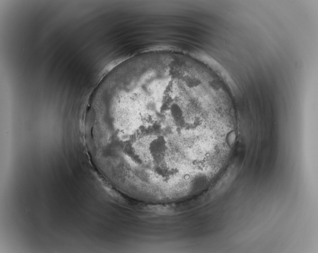 X0000086940937200705141759