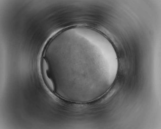 X0000086940939200705141759