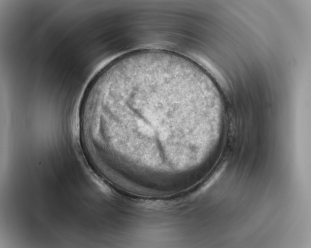 X0000086940940200705141759