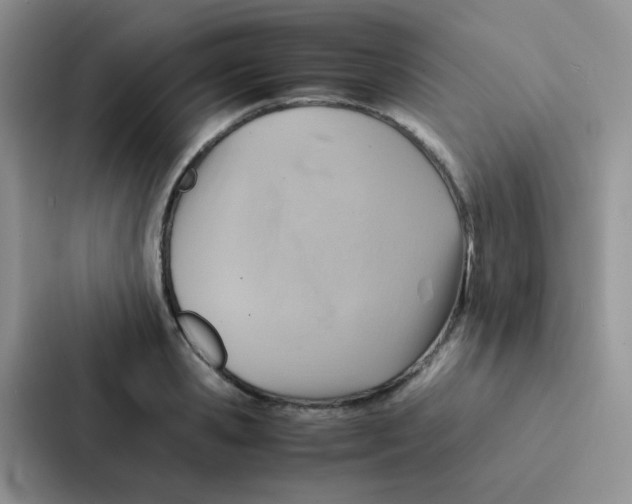 X0000086940941200705141759