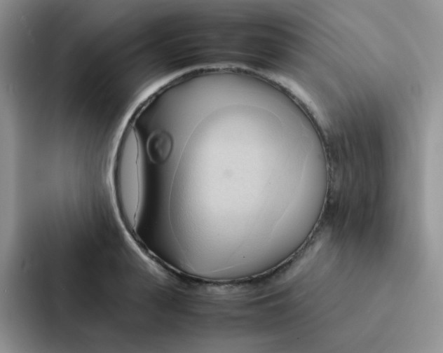 X0000086940943200705141759