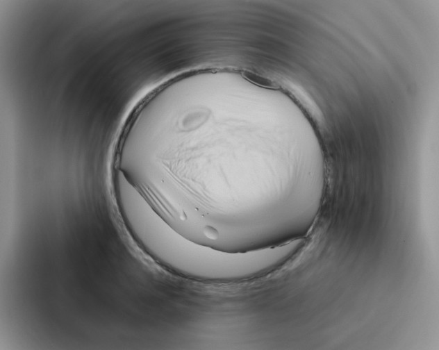 X0000086940944200705141759