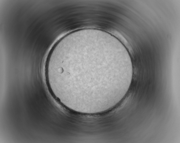 X0000086940947200705141759