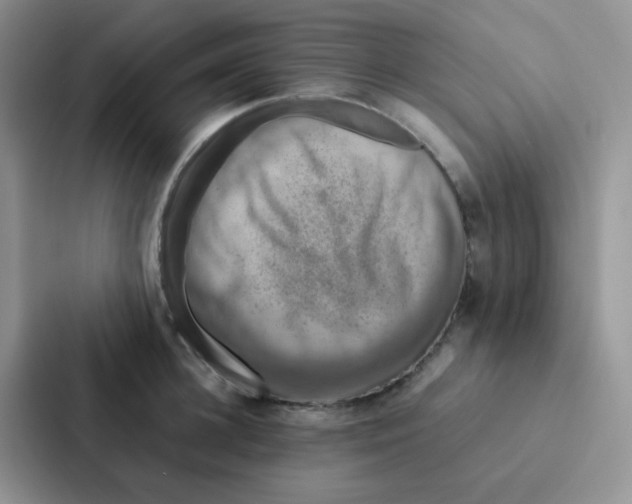 X0000086940948200705141759