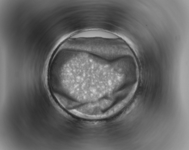 X0000086940949200705141759