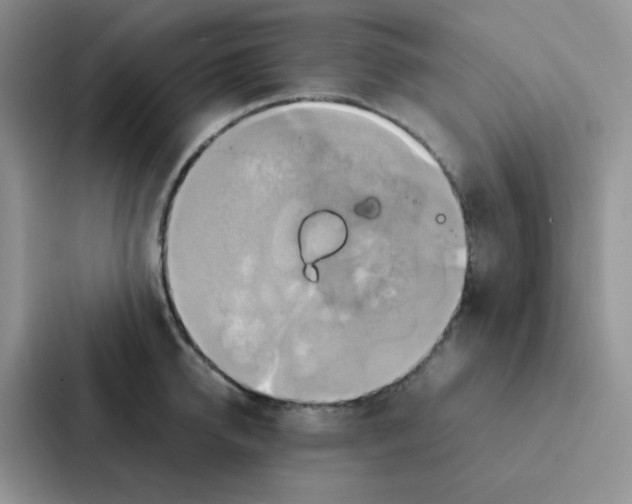 X0000086940950200705141759