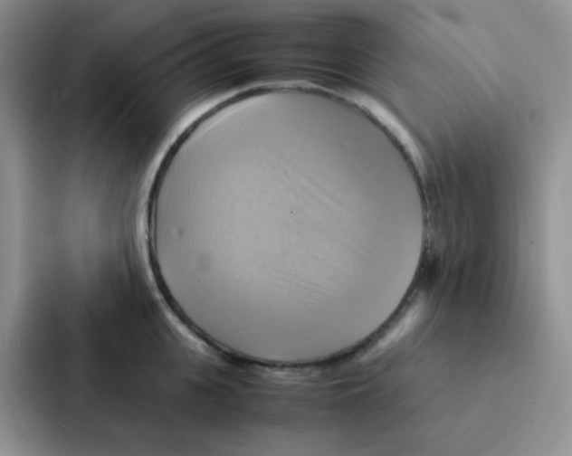 X0000086940951200705141759