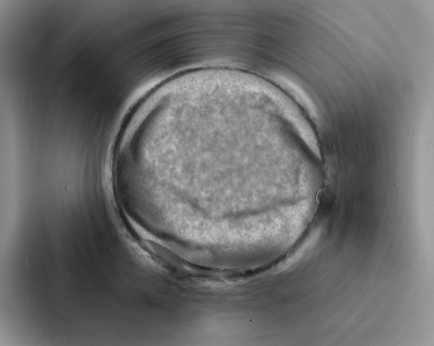 X0000086940952200705141759