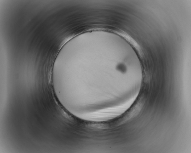 X0000086940953200705141759