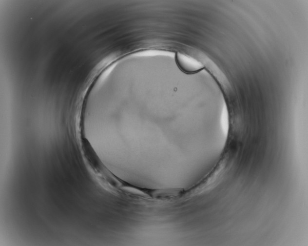 X0000086940954200705141759