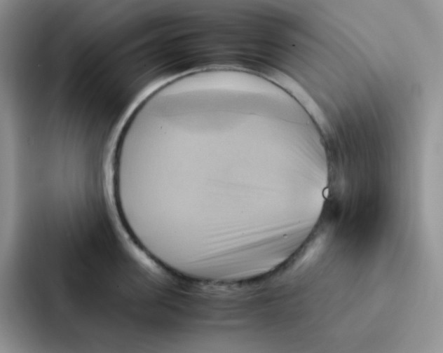 X0000086940955200705141759