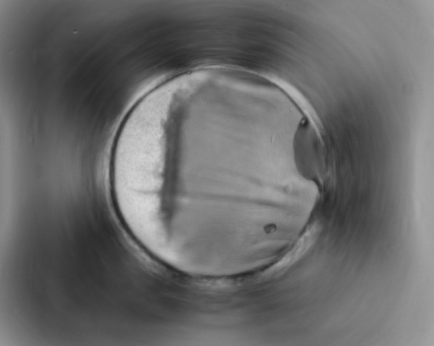 X0000086940957200705141759