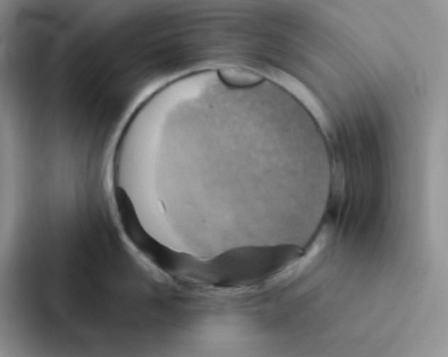 X0000086940958200705141759