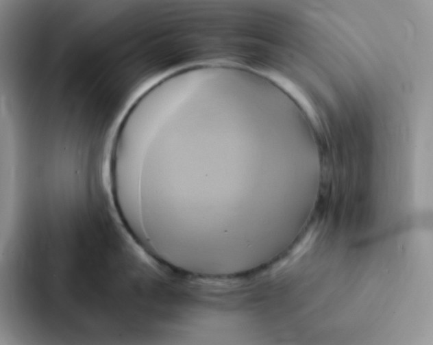 X0000086940959200705141759