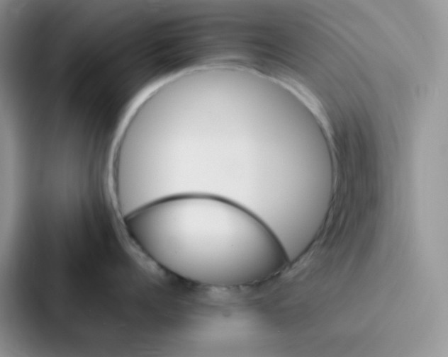 X0000086940960200705141759