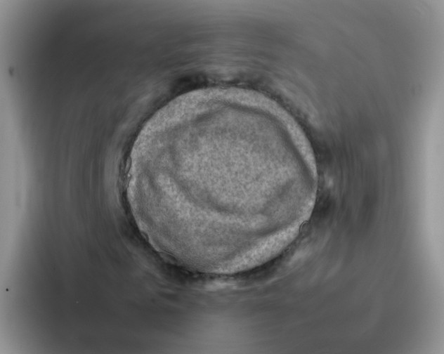 X0000086940961200705141759