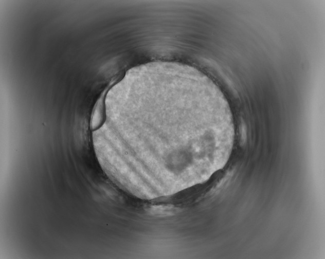 X0000086940964200705141759