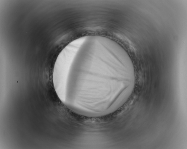 X0000086940966200705141759