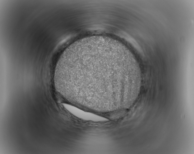 X0000086940967200705141759