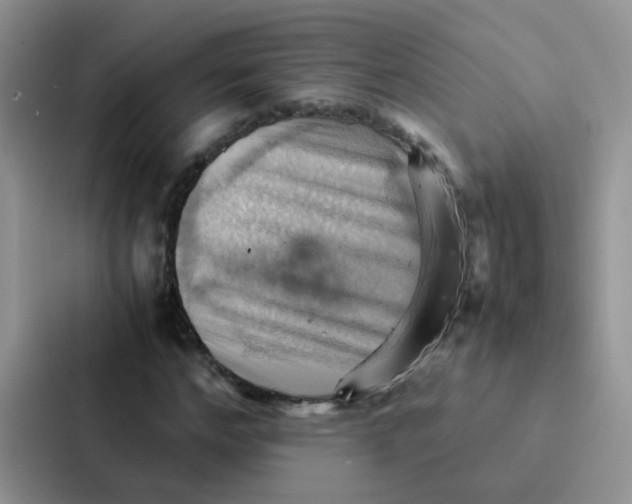 X0000086940968200705141759