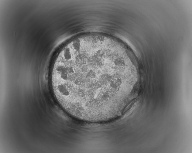 X0000086940971200705141759