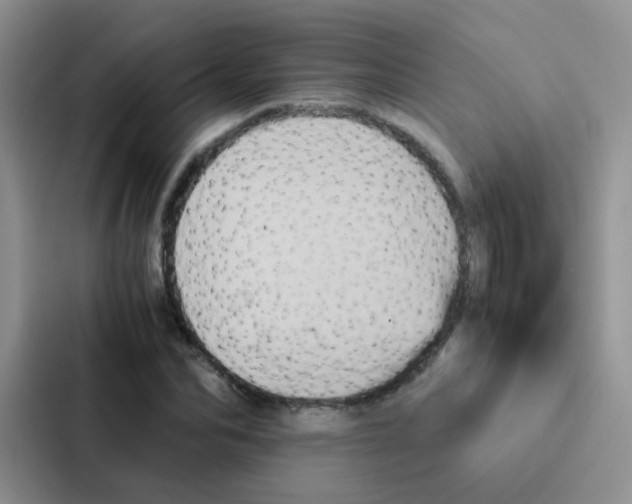 X0000086940974200705141759