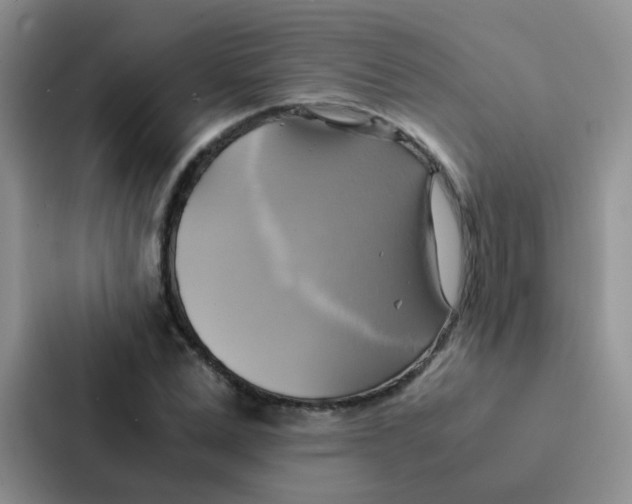 X0000086940975200705141759