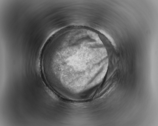 X0000086940976200705141759