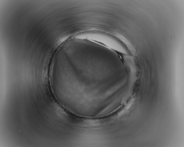 X0000086940977200705141759