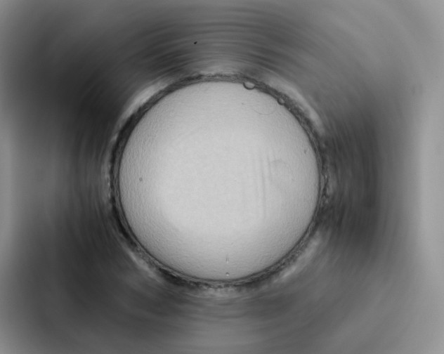 X0000086940978200705141759