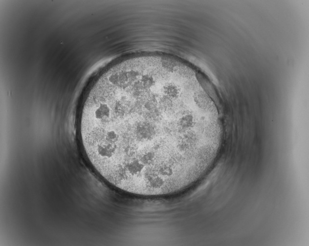 X0000086940979200705141759