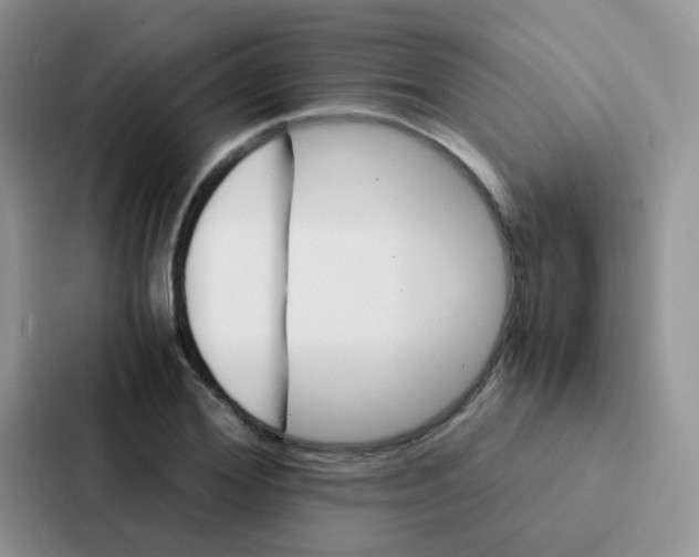 X0000086940980200705141759