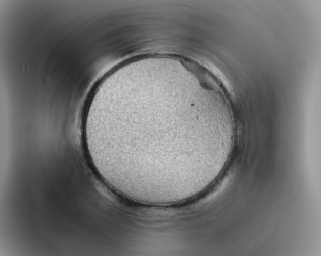 X0000086940981200705141759